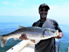 Plum Island beachfront striper caught by Lance